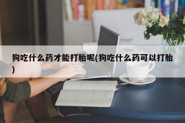 米非司酮片微信下单联系方式狗吃什么药才能打胎呢(狗吃什么药可以打胎)
