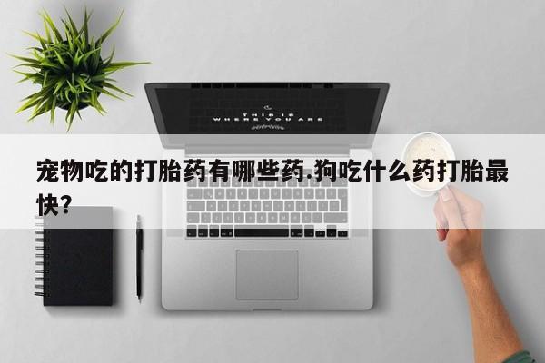 米非司酮片微信下单联系方式宠物吃的打胎药有哪些药.狗吃什么药打胎最快？